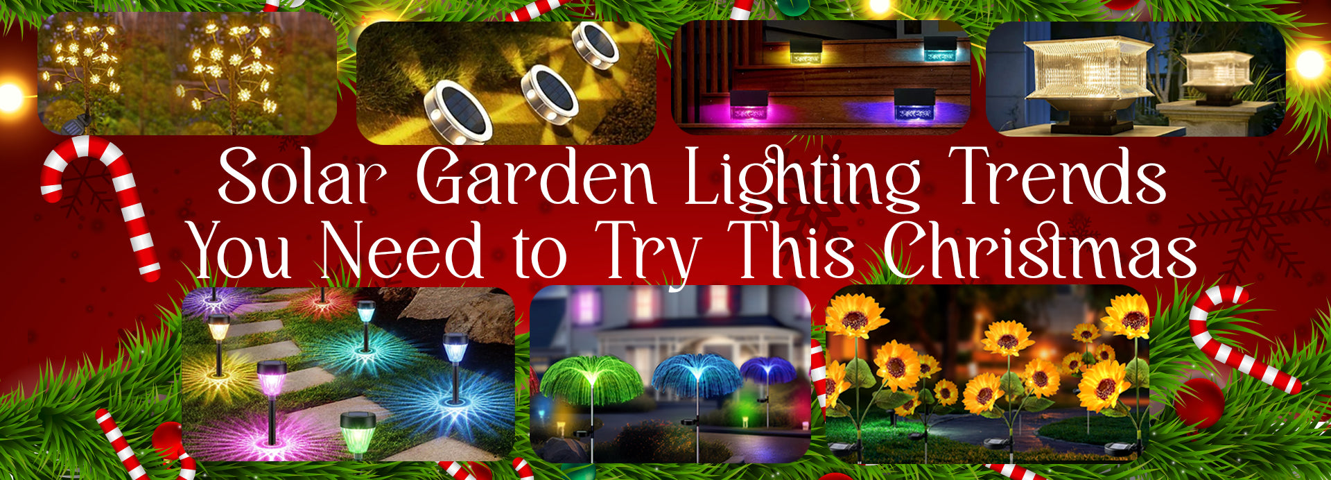 Ready to Transform Your Garden This Christmas? Discover the Hottest Solar Garden Lighting Trends!