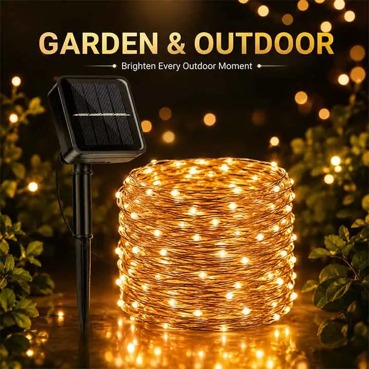 garden and outdoor