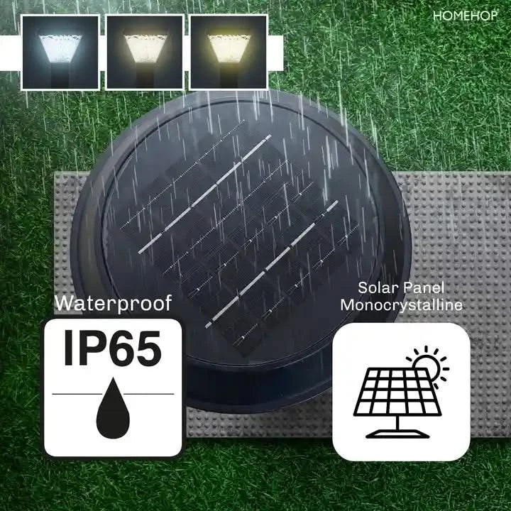 automatic solar light