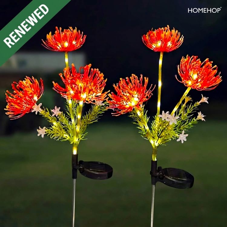 best solar lawn lights