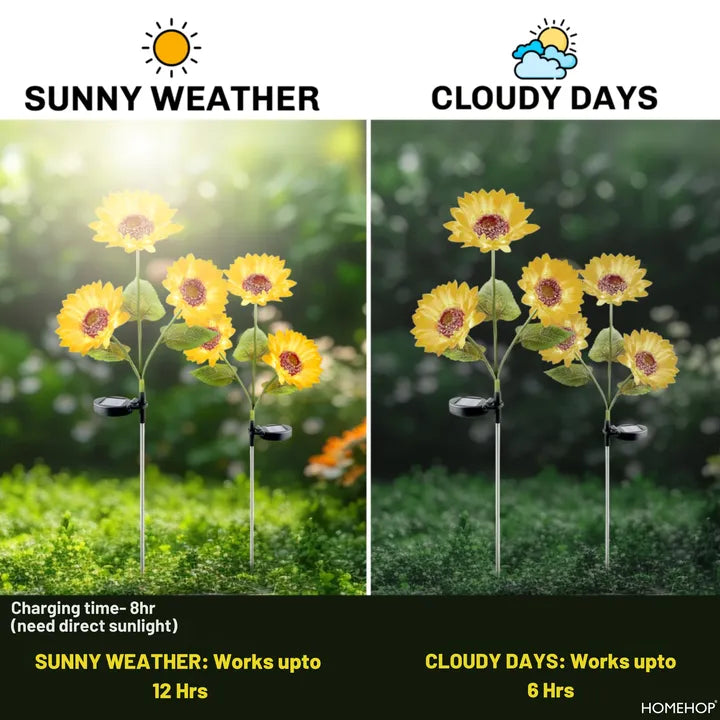 best solar outdoor lights