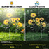 best solar outdoor lights