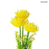 flower light
