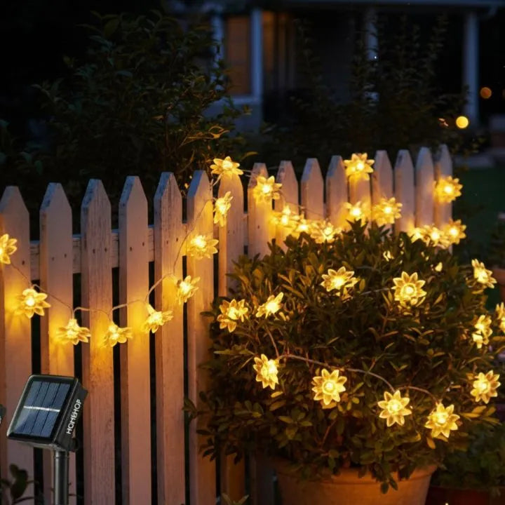 flowerlights