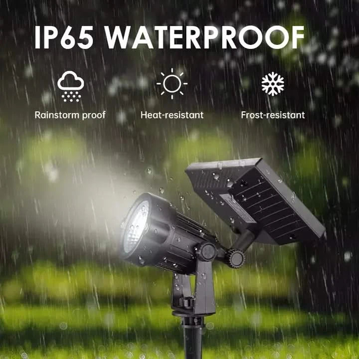 focus lights for decoration