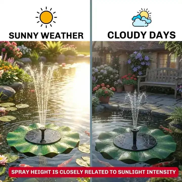 fountain in a garden