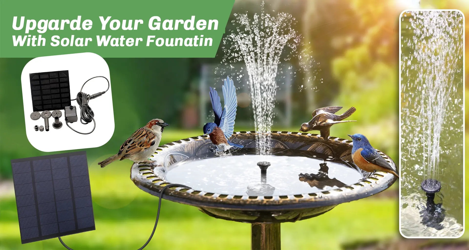 garden with a fountain