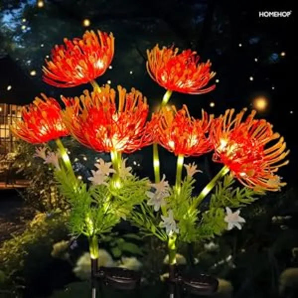 plant solar lights