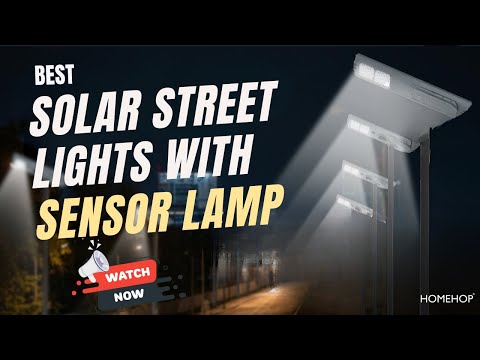 Best solar street lights 