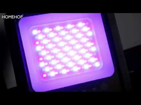 lamp wall light