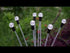 garden fairy lights waterproof lamp