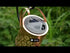 solar house light 