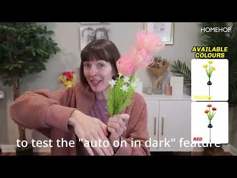 best solar powered garden lights