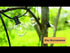 led_garden_lights_solar