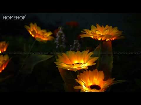 sunflower lights