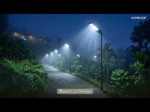 Outdoor Solar Lights