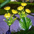 solar flower lights outdoor lighting
