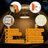 study lamp
