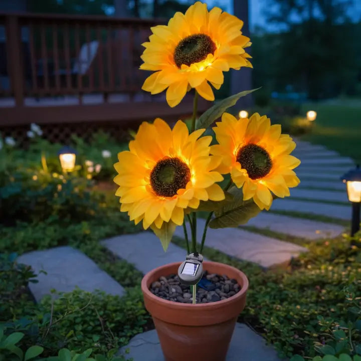 sunflower lights